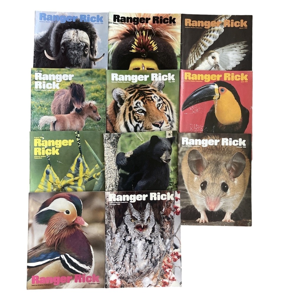 Ranger Rick's Nature Magazine 1989 National Wildlife Kids Vtg Lot Of 11
